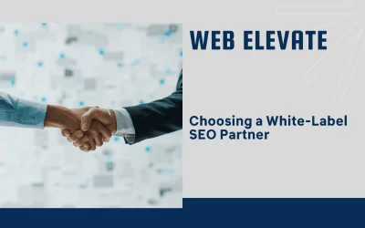 How to Choose a White Label SEO Provider